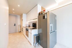 Amber Park (D15), Condominium #499104091